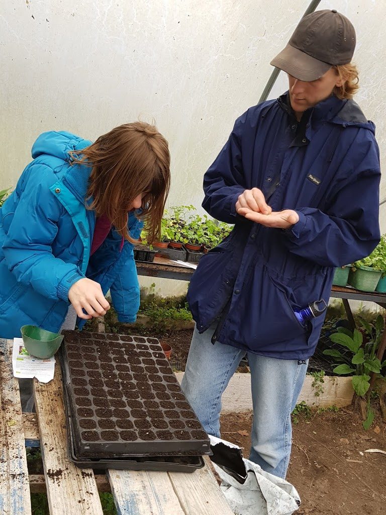 plant sale