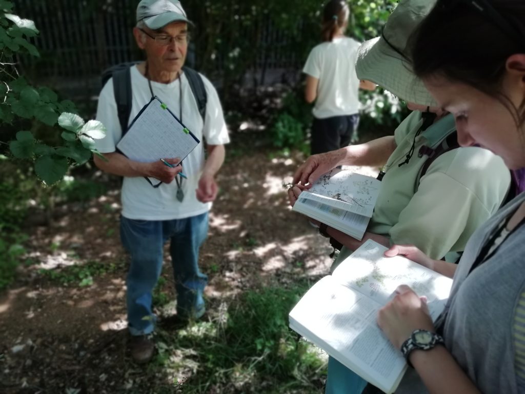 wildlife summer wild plant survey