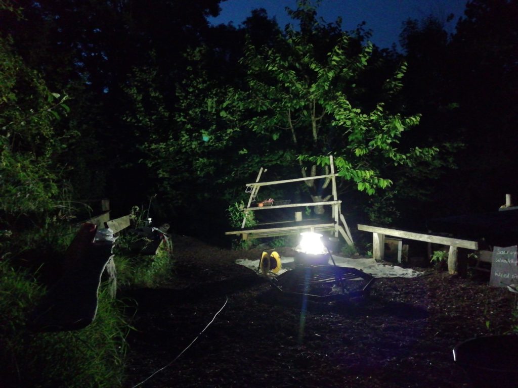 moth trap at night